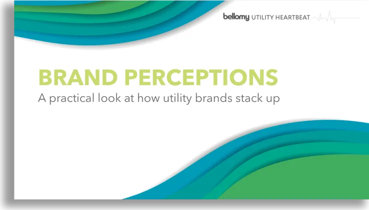 Utility Heartbeat Poll Report Booklet